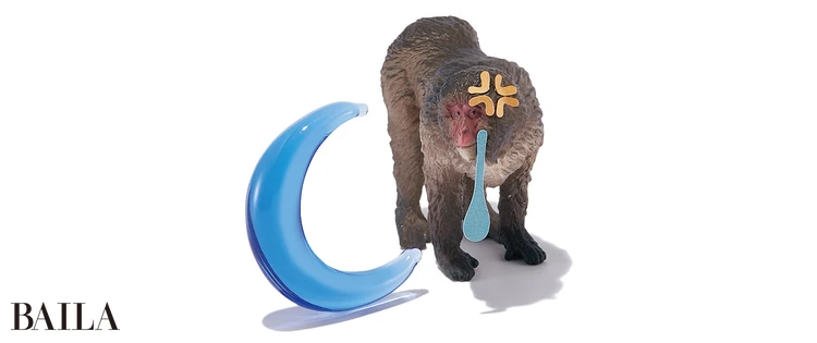 《ホルモンキータイプ》