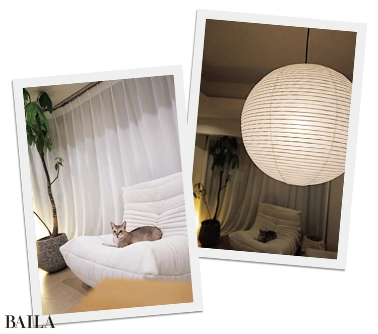 新居の様子をちょい見せ！