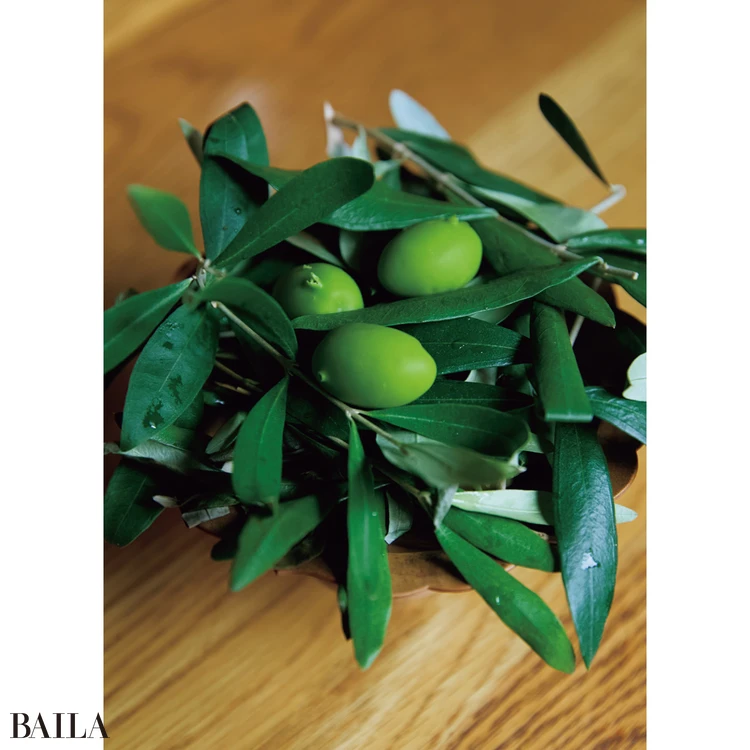 オリーブをかたどったチョコレート