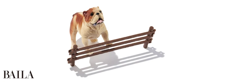 アグレッシブルドッグタイプ