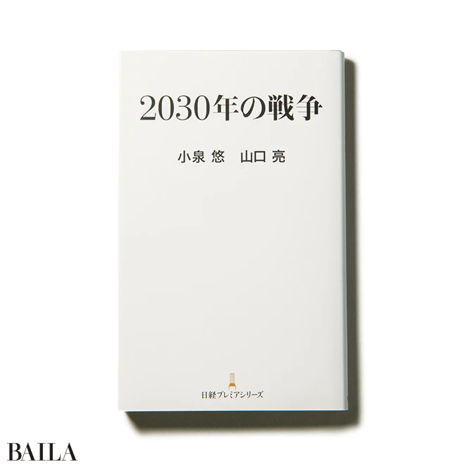 『2030年の戦争』