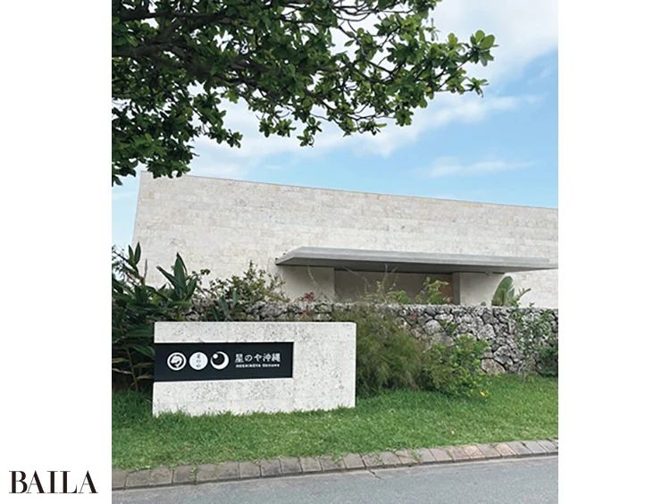 スーパーバイラーズ八木沢蘭さん