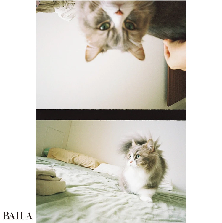 PENTAX 17 を試し撮り！