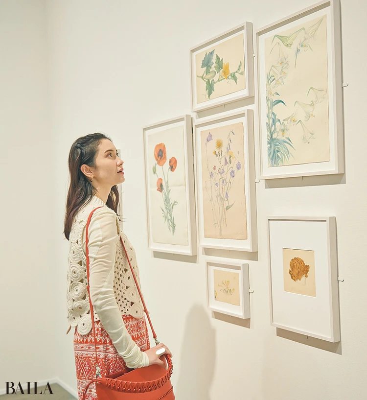 市川紗椰　様々な 年代に描かれた細密な植物画。並々ならぬ絵 画の才能が感じられます