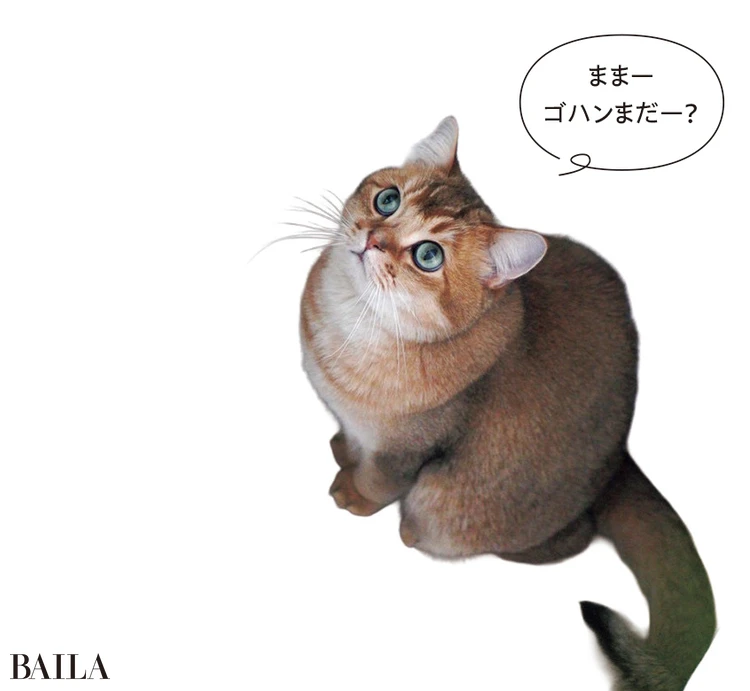 ままーゴハンまだー?