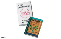 台湾のアーティストによる歴としたアート作品