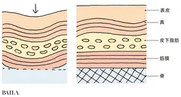 たるみは骨・筋膜・皮膚すべての衰えが原因！