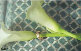 シャネルの「ココ クラッシュ」リング