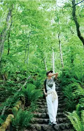 清涼なせせらぎと緑に包まれて、奥入瀬渓流を散策