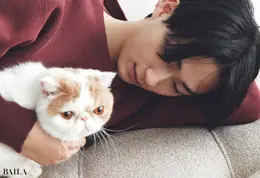 野村康太　 愛猫「さんた」
