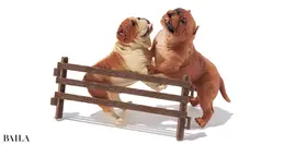 《アグレッシブルドッグ》