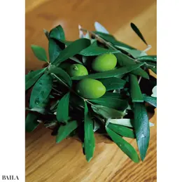 オリーブをかたどったチョコレート