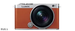 Panasonic　LUMIX S9