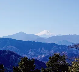高尾山でひとり登山