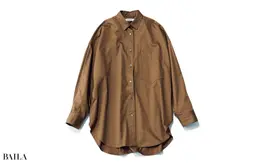 ブラウンシャツ