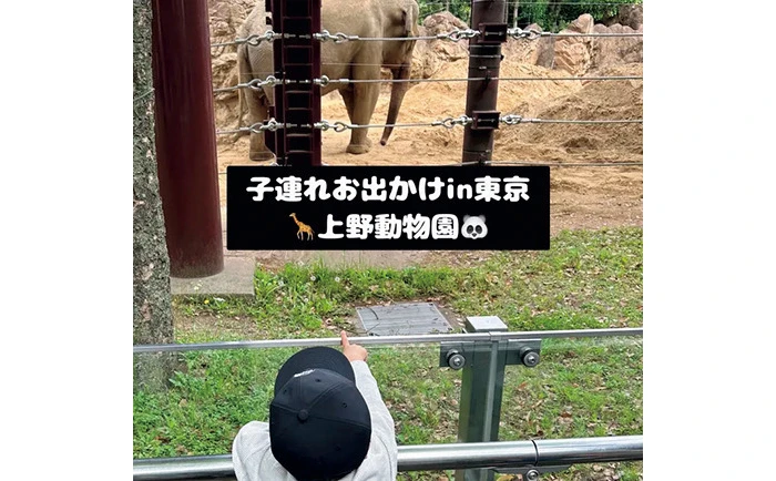 スーパーバイラーズ土佐李穂さん　上野動物園