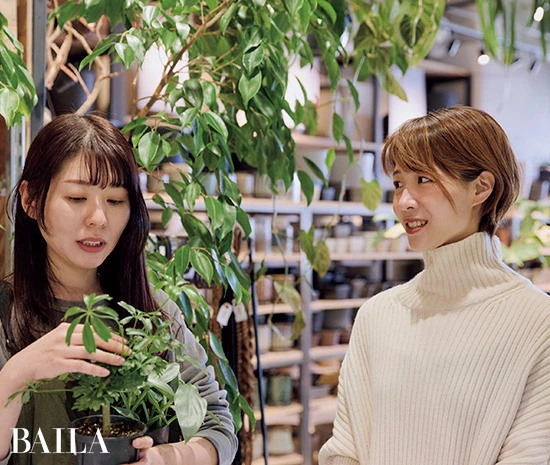 リビングのカウンターにパッと部屋が明るくなる植物が欲しい!(勝本さん)