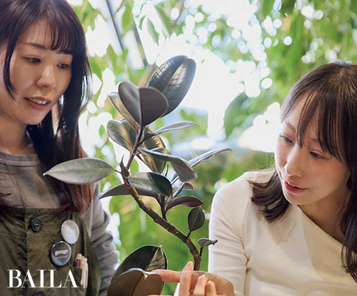 ベッドサイドに部屋の印象を変えてくれる植物を置きたい(阿部さん)