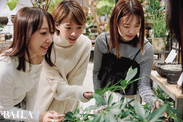 枯らさないコツは放置すること !? プロに学ぶインドアグリーンの極意