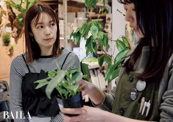 暗い階段の踊り場でも元気に育つ植物はあるの?(若元さん)