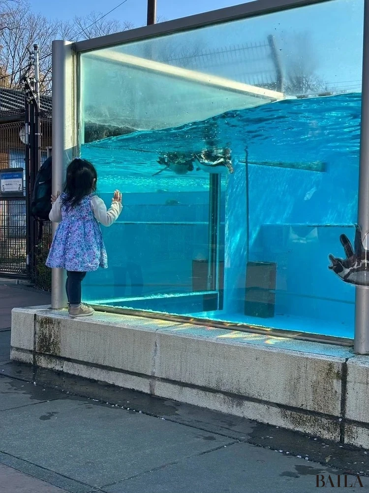 子連れで楽しめるレジャースポット 子ども動物自然公園
