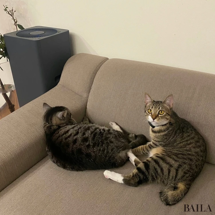 ソファで寛ぐ楽(がく)福(ふく)