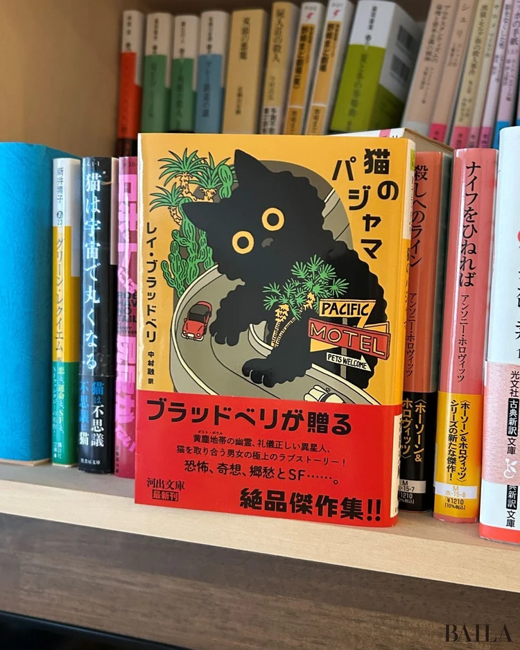 猫のパジャマ　河出文庫