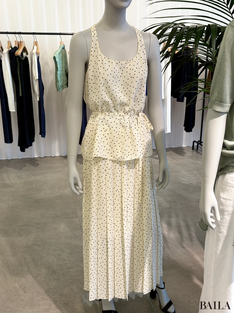 ドットセットアップ