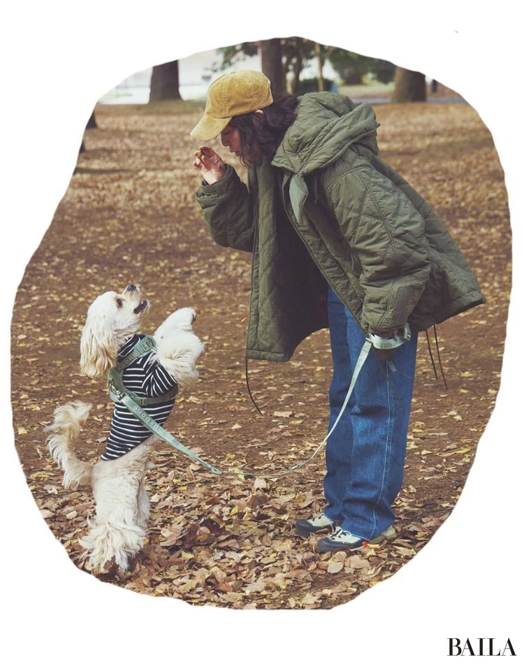 ポテト(アメリカンコッカースパニエル)/スタイリスト 加藤かすみさん