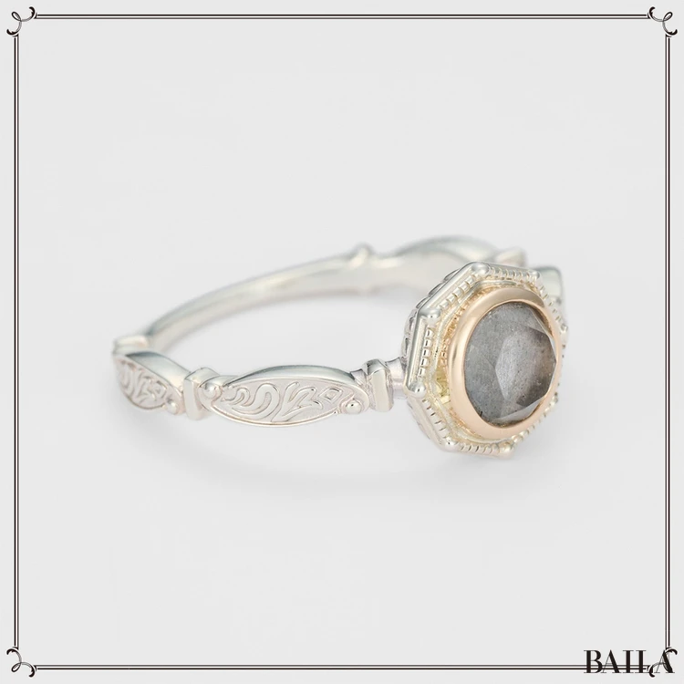 獅子座 開運ジュエリー 2025年12月後半 アガットのリング