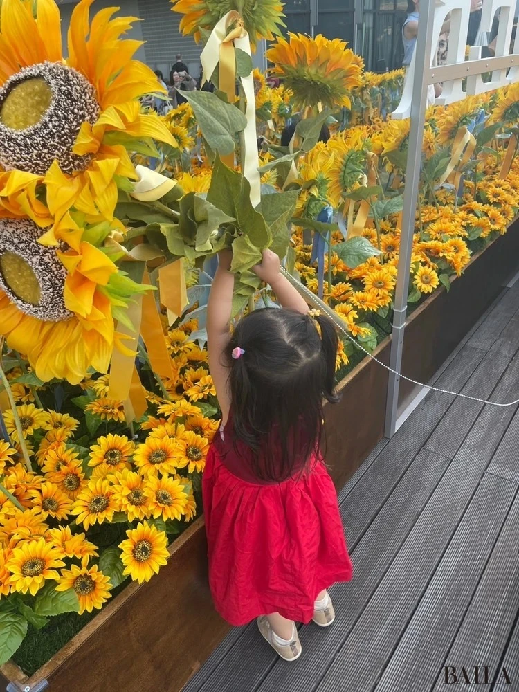 子連れで楽しめるレジャースポット ミッドタウン