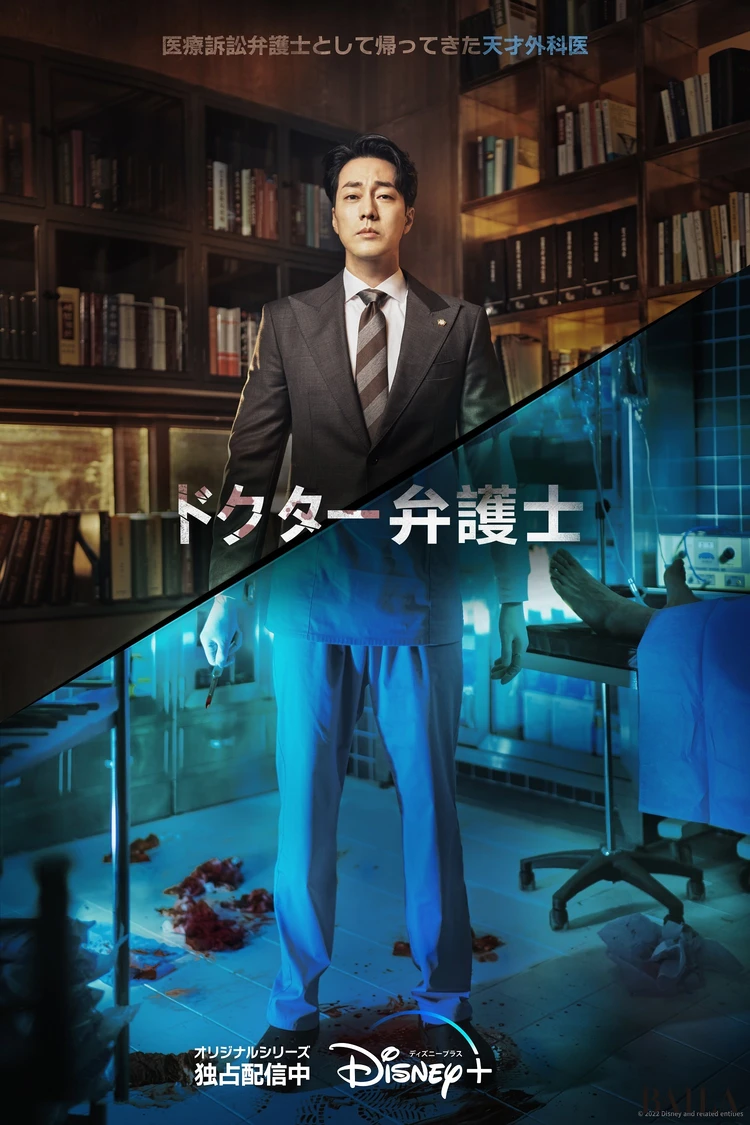 ドクター弁護士のメイン画像