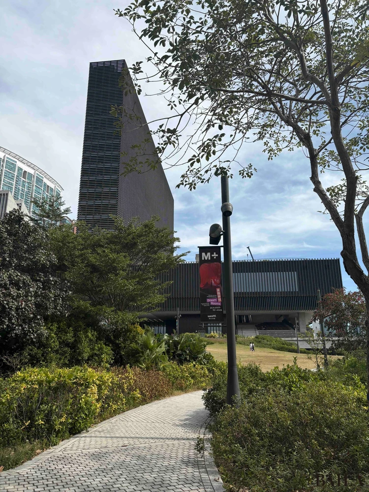 M+ 香港 美術館