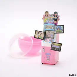 1/12 オシャレ魔女 ラブ and ベリーを組み立てた後の完成写真