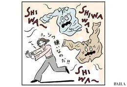 シワ嫌いなのだ