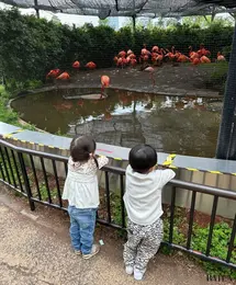 子連れで楽しめるレジャースポッ　動物園