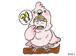 C びっくりオウム