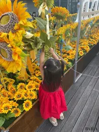 子連れで楽しめるレジャースポット　ミッドタウン