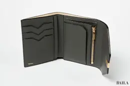 ヴァレクストラ　財布の中