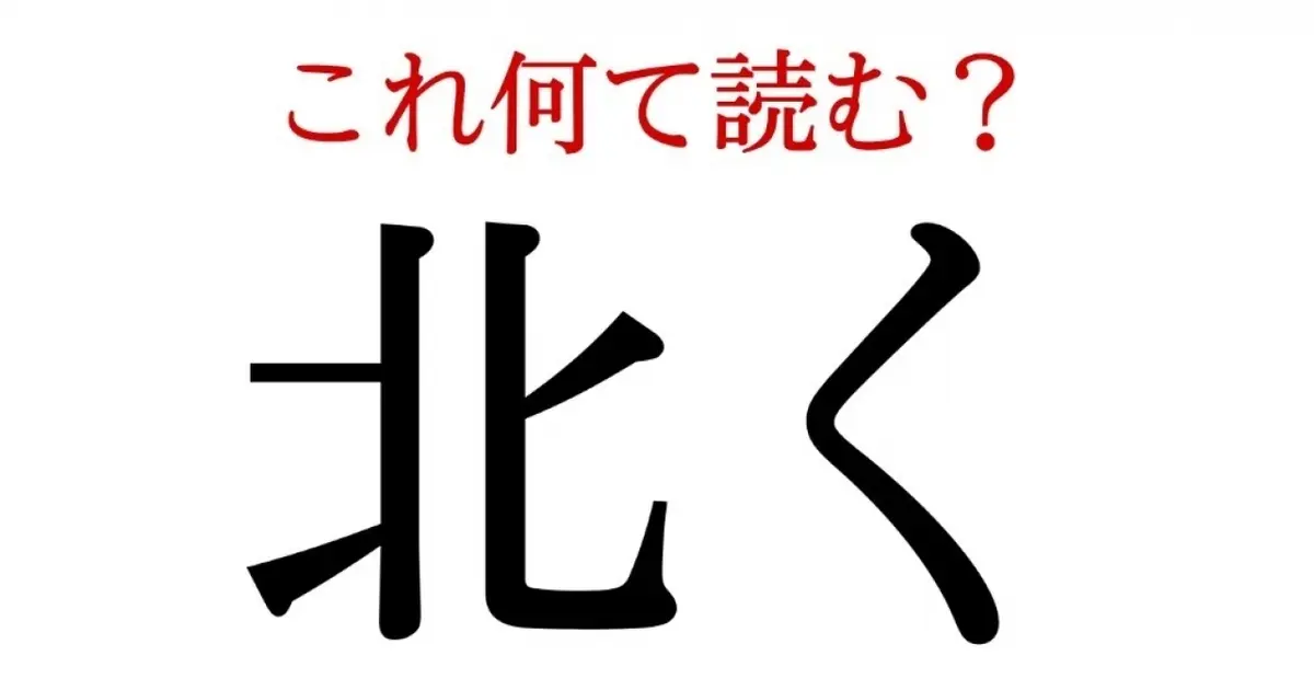 小説 に関する記事 Happy Plus One ハピプラワン