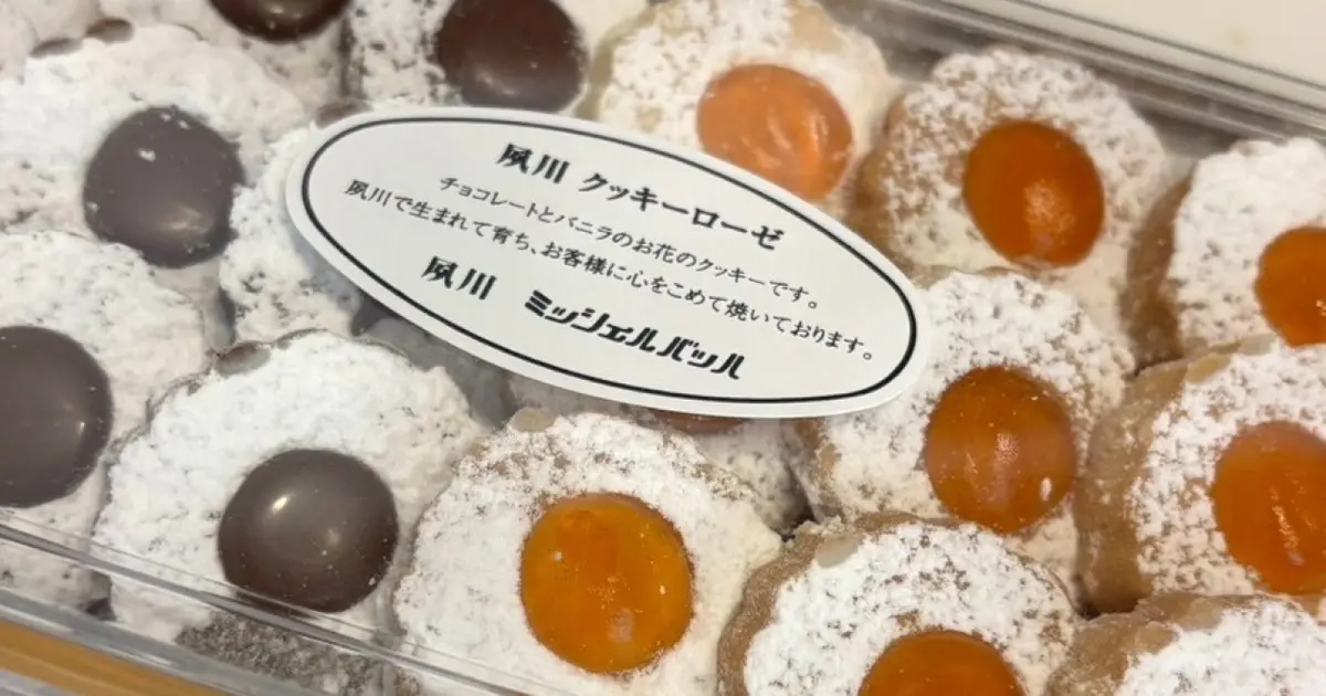 【おすすめ】お土産にぴったり！最近感動したクッキー3選