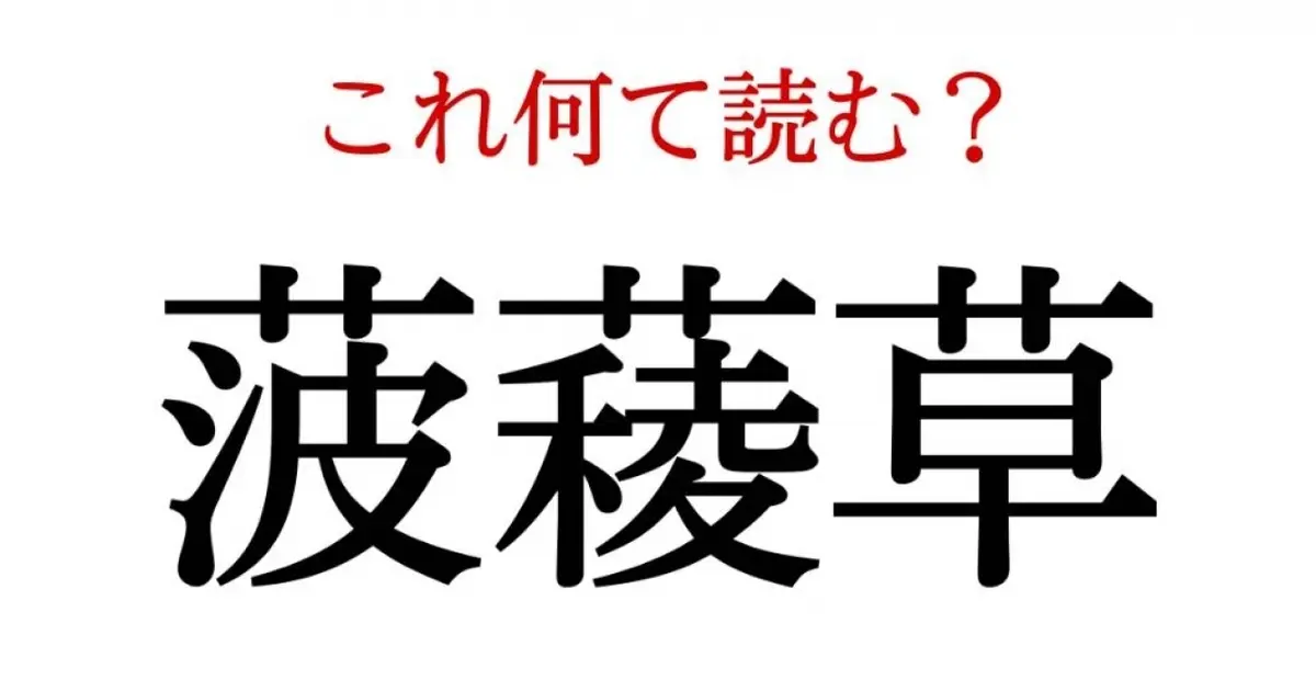 菠薐草 この漢字 自信を持って読めますか 働く大人の漢字クイズvol 75 Baila