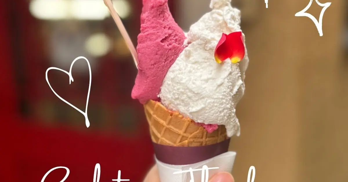 【ジェラテリア テオブロマ】味覚の魔術師が手がける本格ジェラート #BAILAアイス部