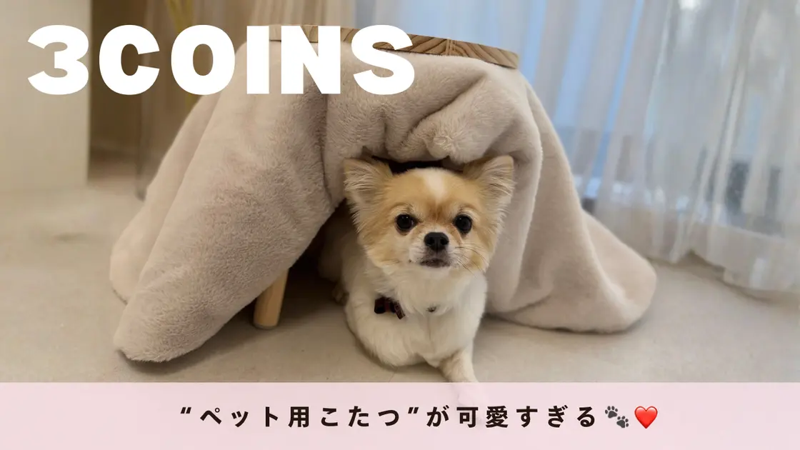 3COINS】小型犬・猫ちゃんの寒さ対策に♡“ペット用こたつ”が可愛すぎる
