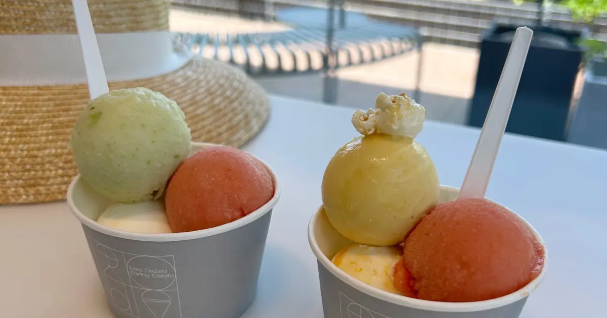 Eriko Osawa Earthly Gelato｜表参道】オーガニック野菜と果実のからだ