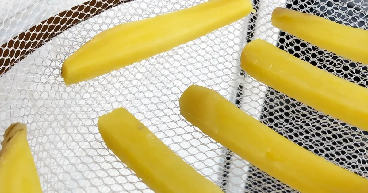 3coinsのドライフードネットで絶品 自家製干し芋つくり Baila