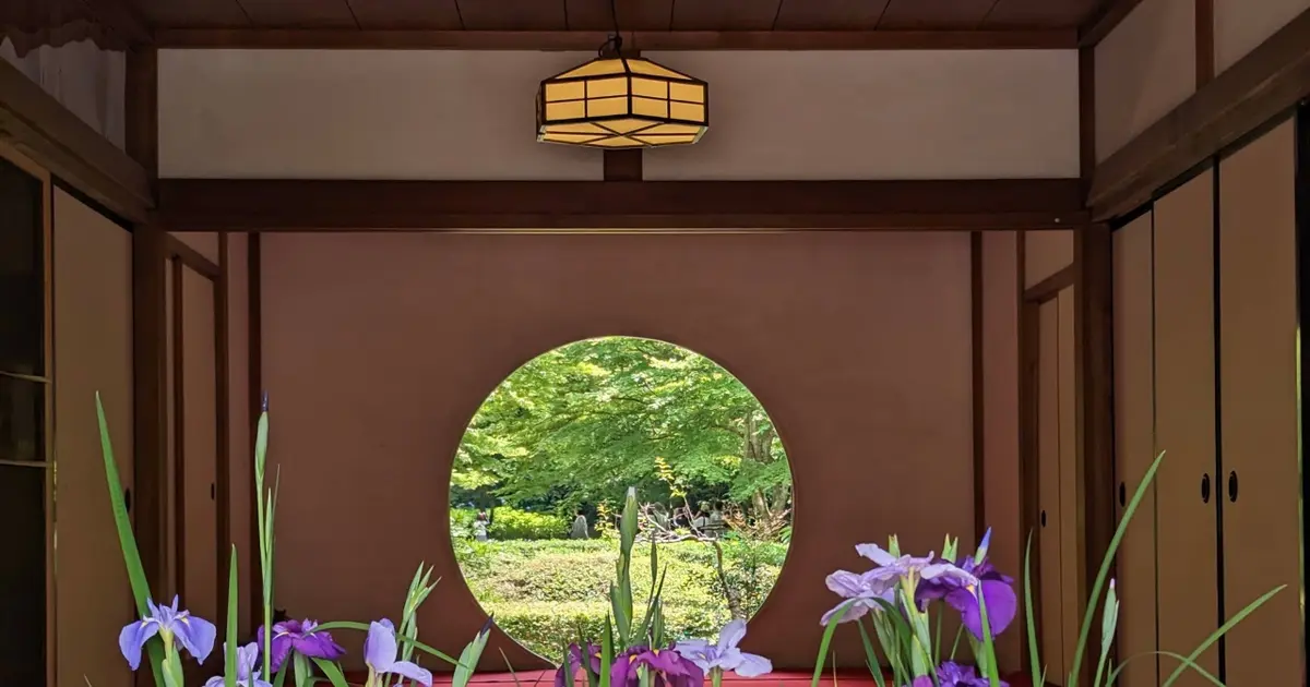 来週行きたい！明月院ブルーの紫陽花が涼やか【鎌倉】
