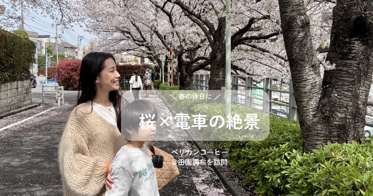 桜×電車の絶景を楽しむ散歩