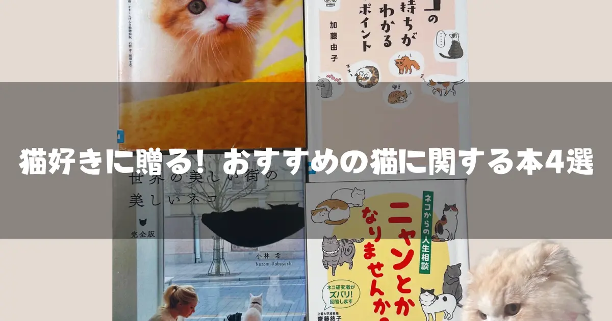 猫好きに贈る！おすすめの猫に関する本4選｜＠BAILA（バイラ）