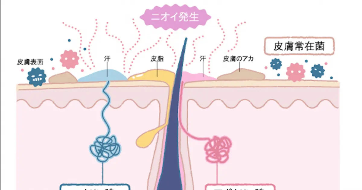 【頭皮のニオイ】大人の夏は特に注意！ 正しいケアを医師がアドバイス【ニオイを制してこそ、クールビューティ！Vol.2】